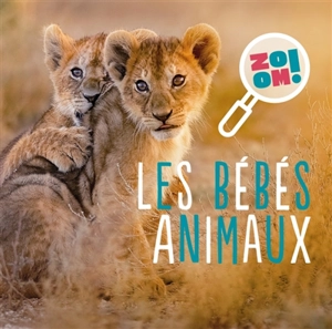 Les bébés animaux - Emmanuelle Kecir-Lepetit