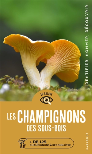 Les champignons des sous-bois : + de 125 champignons à reconnaître : identifier, nommer, découvrir - Markus Flück