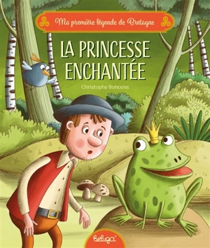 La princesse enchantée - Christophe Boncens