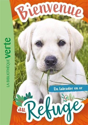 Bienvenue au refuge. Vol. 8. Un labrador en or - Pascal Ruter