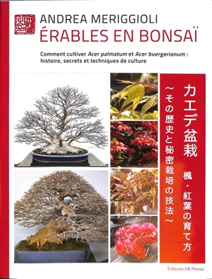 Erables en bonsaï : comment cultiver Acer palmatum et Acer buergerianum : histoire, secrets et techniques de culture - Andrea Meriggioli