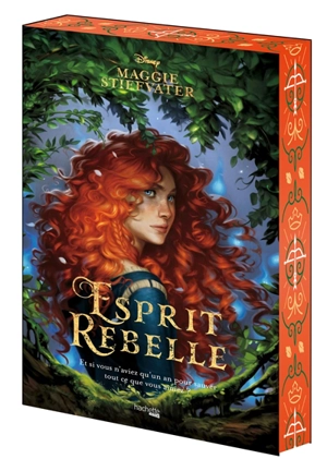 Esprit rebelle - Maggie Stiefvater