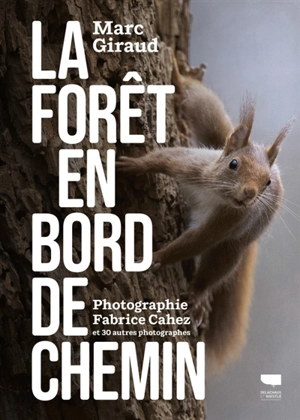 La forêt en bord de chemin - Marc Giraud