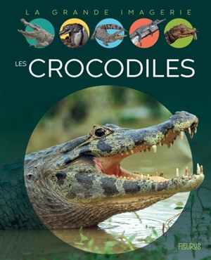 Les crocodiles - Cathy Franco