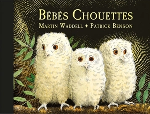 Bébés chouettes - Martin Waddell