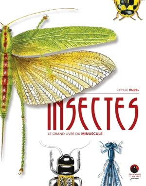 Insectes : le grand livre du minuscule - Cyrille Hurel
