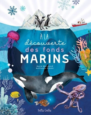 A la découverte des fonds marins - David Marchand