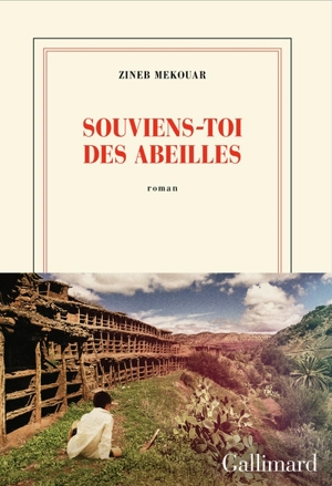 Souviens-toi des abeilles - Zineb Mekouar