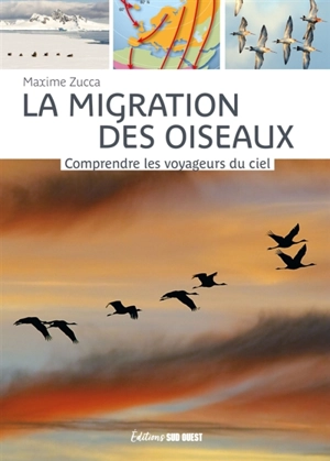 La migration des oiseaux : comprendre les voyageurs du ciel - Maxime Zucca