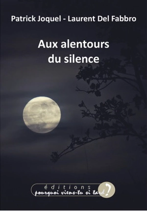 Aux alentours du silence - Patrick Joquel