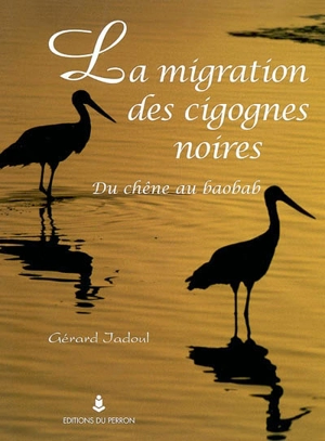 La migration des cigognes noires : du chêne au baobab - Gérard Jadoul