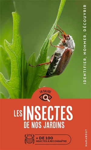 Les insectes de nos jardins : + de 100 insectes à reconnaître : identifier, nommer, découvrir - Laurent Gerstmeier