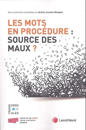 Les mots en procédure : source des maux ?