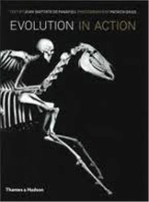 Evolution in Action 2nd ed. : Natural History through Spectacular Skeletons - Jean-Baptiste de Panafieu