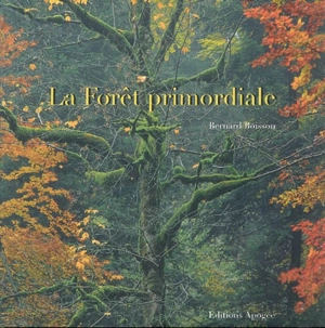 La forêt primordiale - Bernard Boisson