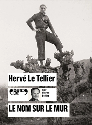 Le nom sur le mur - Hervé Le Tellier