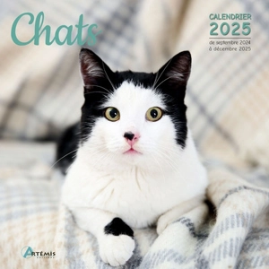 Chats : calendrier 2025 : de septembre 2024 à décembre 2025