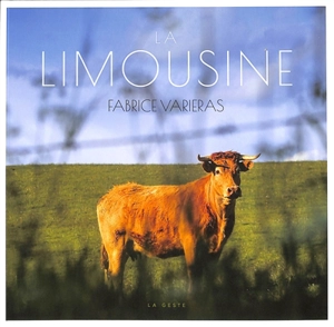 La limousine - Fabrice Varieras