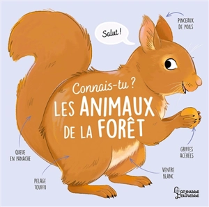 Connais-tu les animaux de la forêt ? - Agnès Besson