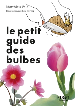 Le petit guide des bulbes : 70 variétés pour fleurir son jardin - Matthieu Velé