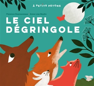 Le ciel dégringole - Florence Desnouveaux