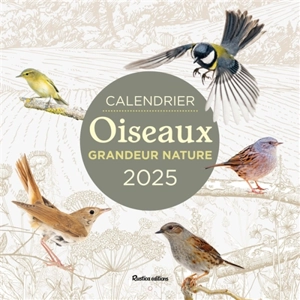 Oiseaux grandeur nature : calendrier mural 2025 - Guilhem Lesaffre