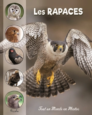 Les rapaces - Christine Baillet