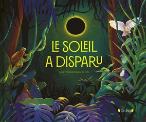 Le soleil a disparu - Anne Fronsacq