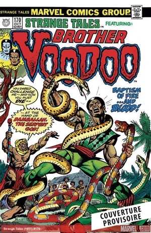 Brother Voodoo : l'intégrale. Vol. 1. 1973-1990 - Len Wein