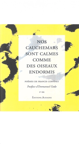 Nos cauchemars sont calmes comme des oiseaux endormis - Francis Coffinet