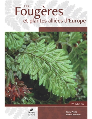 Les fougères et plantes alliées d'Europe : avec répartitions détaillées pour la France - Rémy Prelli