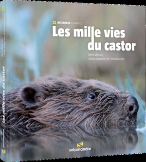 Les mille vies du castor - Rémi Masson