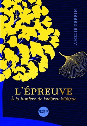 L'épreuve : à la lumière de l'hébreu biblique - Amélie Perrin