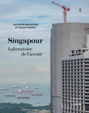 Singapour, laboratoire de l'avenir - Riopel, Alexis