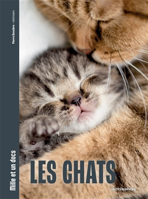 Les chats - Pierre Bessière