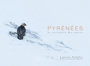 Pyrénées : le territoire des autres - Laurent Nédélec