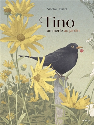 Tino : un merle au jardin - Nicolas Jolivot