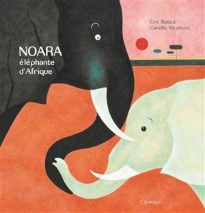 Noara, éléphante d'Afrique - Eric Battut