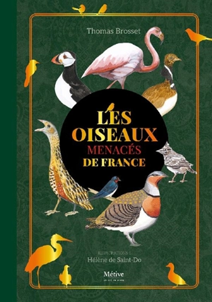 Les oiseaux menacés de France - Thomas Brosset