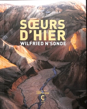 Soeurs d'hier - Wilfried N'Sondé