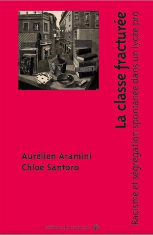 La classe fracturée : racisme et ségrégation spontanée dans un lycée pro - Aurélien Aramini