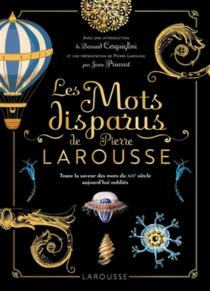 Les mots disparus de Pierre Larousse : toute la saveur des mots du XIXe siècle aujourd'hui oubliés - Pierre Larousse