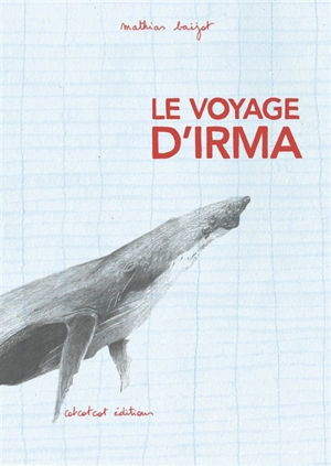 Le voyage d'Irma - Mathias Baijot