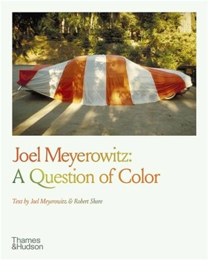 Joel Meyerowitz : A Question of Color - Joel Meyerowitz