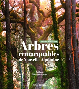 Arbres remarquables de Nouvelle-Aquitaine - Thibaut Marchand