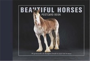 Beautiful Horses Postcard Book : 30 Postcards of Champion Breeds to Keep or Send - Andrew Perris