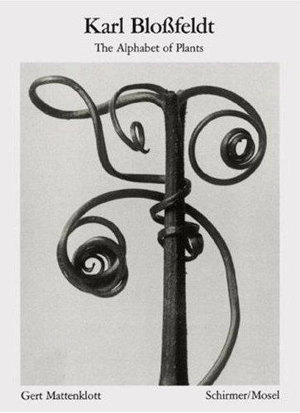 Karl Blossfeldt Alphabet der Pflanzen - Karl Blossfeldt