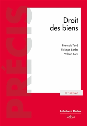 Droit civil : les biens - François Terré