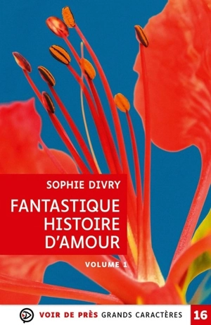 Fantastique histoire d'amour - Sophie Divry