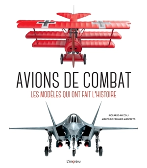 Avions de combat : les modèles qui ont fait l'histoire - Riccardo Niccoli